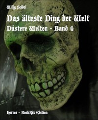 Das älteste Ding der Welt - Willy Seidel - E-Book