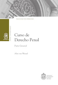 Curso de Derecho Penal - Alex van Weezel - E-Book