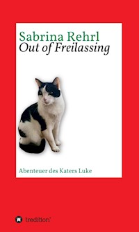 Out of  Freilassing - Sabrina Rehrl - E-Book