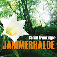 Jammerhalde (Ungekürzt) - Bernd Franzinger - Hörbuch