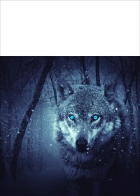 Unsere Zukunft - karl glanz - E-Book
