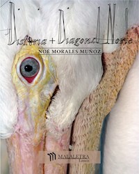 Disforia + Diagonal Norte - Noé Morales - E-Book