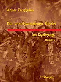 Die verschwundenen Kinder - Walter Brunhuber - E-Book
