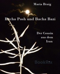 Bacha Posh und Bacha Bazi - Maria Braig - kostenlos E-Book