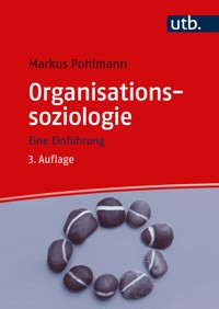 Organisationssoziologie - Markus Pohlmann - E-Book