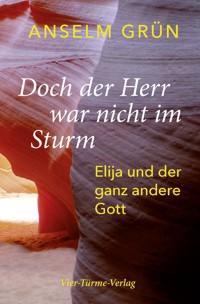Doch der Herr war nicht im Sturm - Anselm Grün - E-Book