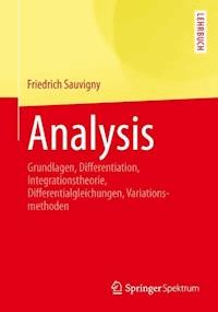 Analysis - Friedrich Sauvigny - E-Book