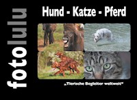 Hund - Katze - Pferd - fotolulu - E-Book