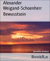 Bewusstsein - Alexander Weigand-Schoenherr - E-Book