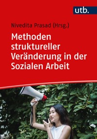 Methoden struktureller Veränderung in der Sozialen Arbeit - - E-Book