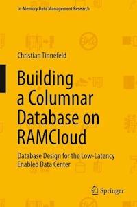 Building a Columnar Database on RAMCloud - Christian Tinnefeld - E-Book