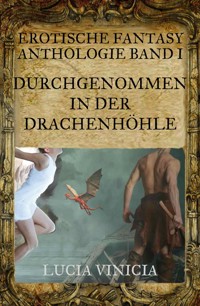 Durchgenommen in der Drachenhöhle - Lucia Vinicia - E-Book