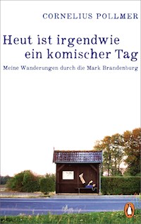 Heut ist irgendwie ein komischer Tag - Cornelius Pollmer - E-Book