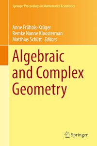 Algebraic and Complex Geometry -  - E-Book