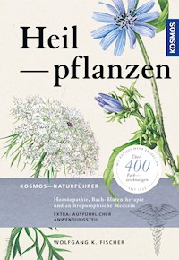 Heilpflanzen - Wolfgang K. Fischer - E-Book