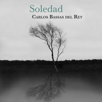 Soledad - Carlos Bassas del Rey - Hörbuch