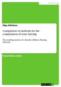 Comparison of methods for the computation of wave forcing - Olga Glöckner - E-Book