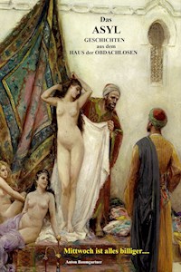 Das Asyl - Anton Baumgartner - E-Book