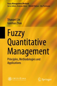 Fuzzy Quantitative Management - Shaopei Lin - E-Book