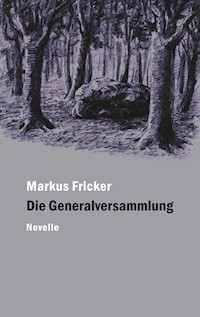 Die Generalversammlung - Markus Fricker - E-Book