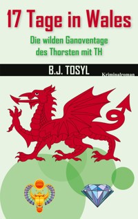 17 Tage in Wales - B.J. Tosyl - E-Book