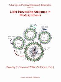 Multiple Stressors: A Challenge for the Future - - E-Book