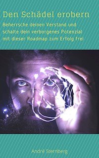 Den Schädel erobern - Andre Sternberg - E-Book