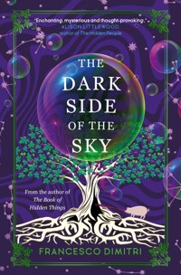 The Dark Side of the Sky - Francesco Dimitri - E-Book