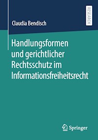 Handlungsformen und gerichtlicher Rechtsschutz im Informationsfreiheitsrecht - Claudia Bendisch - E-Book