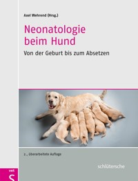Neonatologie beim Hund - - E-Book