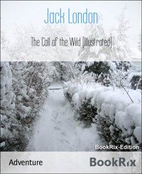 The Call of the Wild (Illustrated) - Jack  London - E-Book