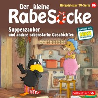 Suppenzauber, Gestrandet, Die Ringelsocke ist futsch!  (Der kleine Rabe Socke - Hörspiele zur TV Serie 6) - Katja Grübel - Hörbuch