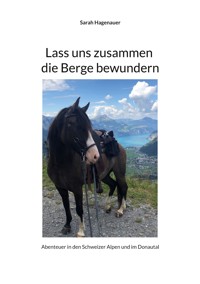 Lass uns zusammen die Berge bewundern - Sarah Hagenauer - E-Book