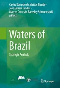 Waters of Brazil -  - E-Book