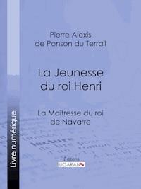 La Maîtresse du roi de Navarre - Ligaran - E-Book