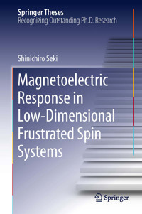 Magnetoelectric Response in Low-Dimensional Frustrated Spin Systems - Shinichiro Seki - E-Book