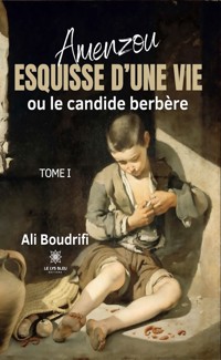 Amenzou - Tome 1 - Ali Boudrifi - E-Book