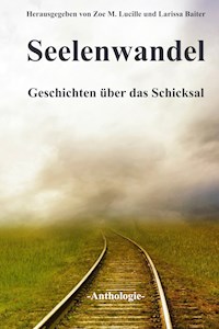 Seelenwandel - Larissa Baiter - E-Book