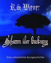 Schatten über Backnang - R.S. Wiener - E-Book