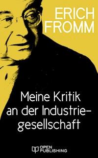 Meine Kritik an der Industriegesellschaft - Erich Fromm - E-Book