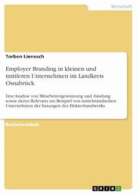 Employer Branding in kleinen und mittleren Unternehmen im Landkreis Osnabrück - Torben Lienesch - E-Book