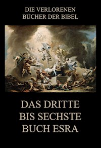 Das dritte bis sechste Buch Esra - Paul Rießler - E-Book