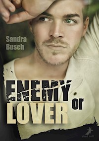 Enemy or Lover - Sandra Busch - E-Book