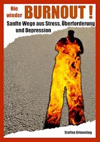 Nie wieder Burnout! - Steffen Grimmling - E-Book