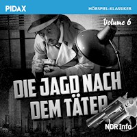 Die Jagd nach dem Täter, Vol. 6 - Irmgard Koester - Hörbuch