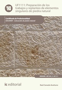 Preparación de los trabajos y replanteo de elementos singulares de piedra natural. IEXD0409 - Raúl Canedo Aceituno - E-Book