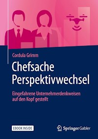 Chefsache Perspektivwechsel - Cordula Grimm - E-Book