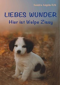 Liebes Wunder - Sandra A. Erb - E-Book