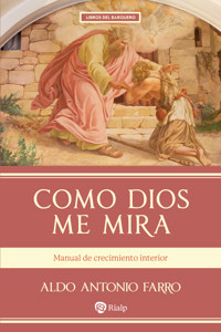 Como Dios me mira - Aldo Antonio Farro Fernández - E-Book