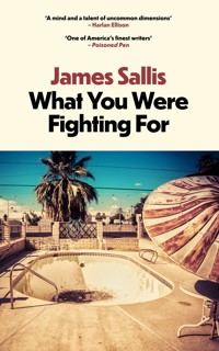 What You Were Fighting For - James Sallis - E-Book